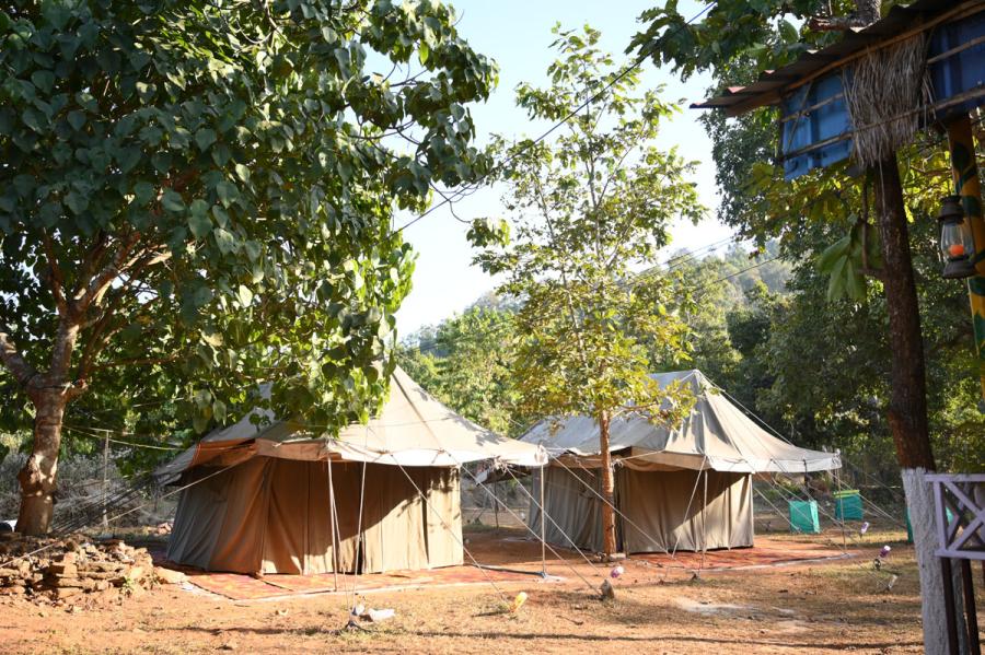 Why Similipal Jungle Resort Is the Perfect Eco-Friendly Getaway.