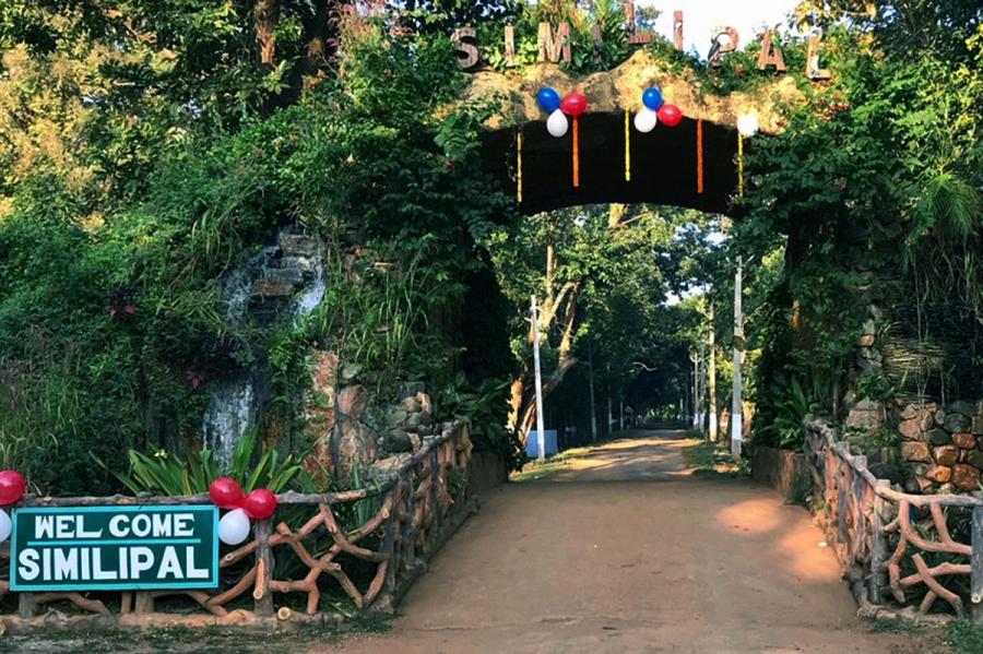 Budget-Friendly Travel Tips for Visiting Similipal National Park.